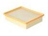 Air Filter:1109013A-K01