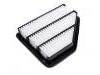 Air Filter:1109190-AP01