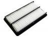 воздушный фильтр Air Filter:T21-1109111